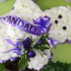 Teddy Tribute - Image 2